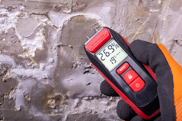 Pocono Woodland Lakes, PA Mold Removal Company