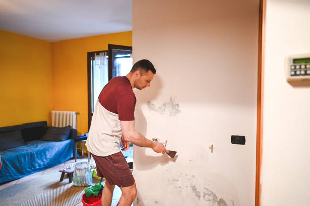 Best Certified Mold Removal  in Pocono Woodland Lakes, PA